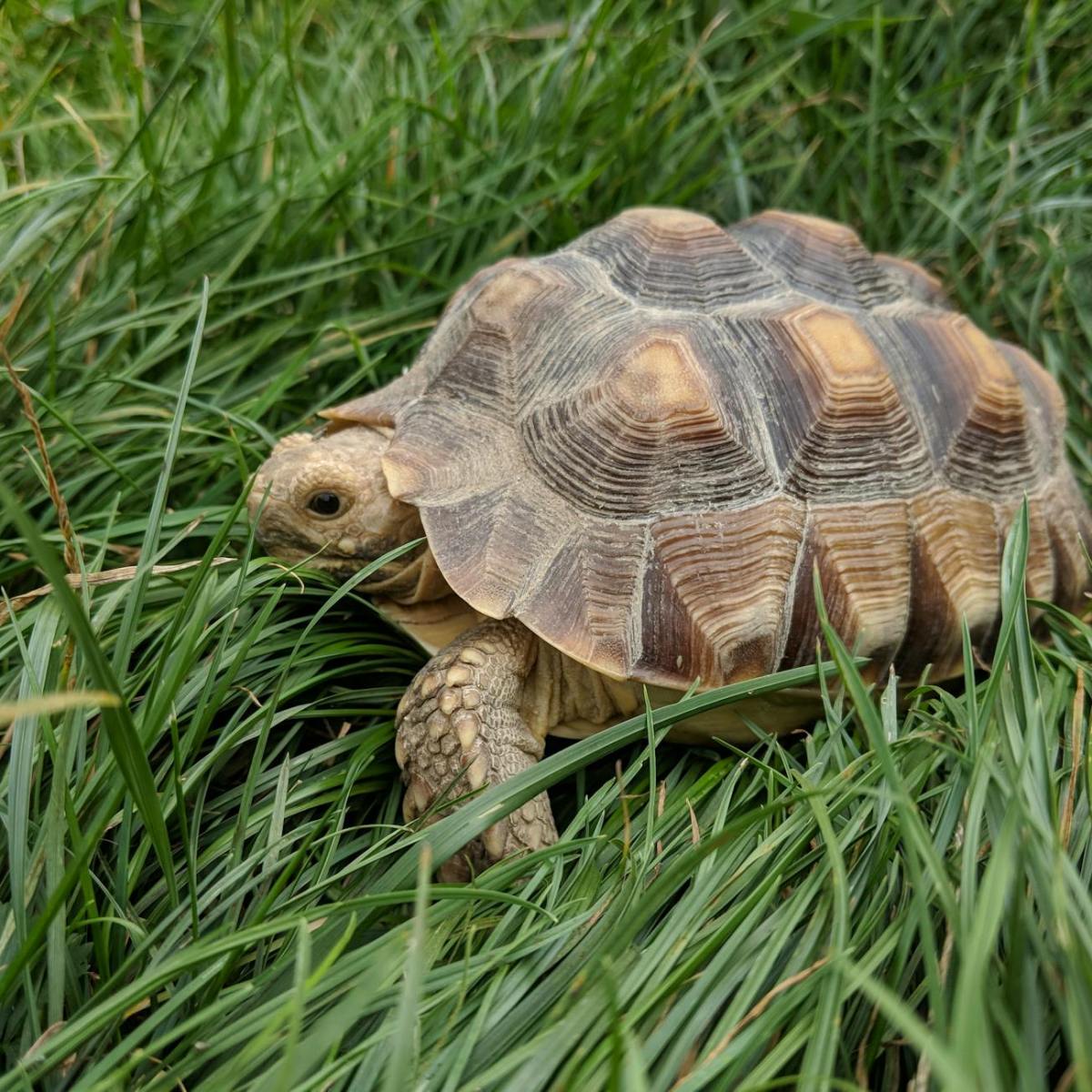 Start der Schulsozialarbeit an der Bergschule – Willkommen Frau Hövel